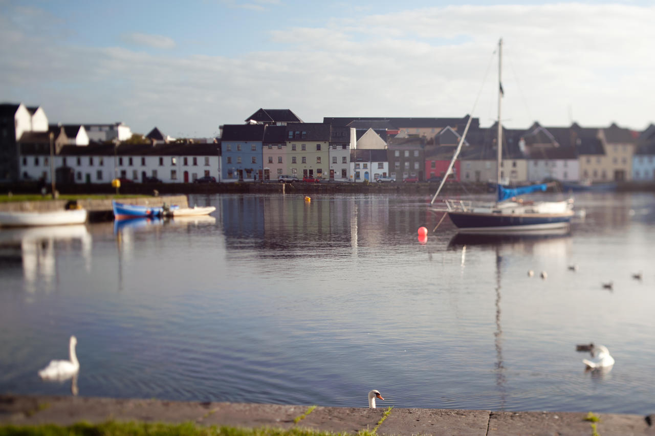 Ferienhaus The Herons Rest Townhouse Galway